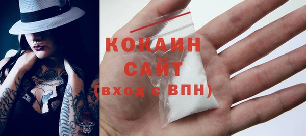 прущие грибы Беломорск