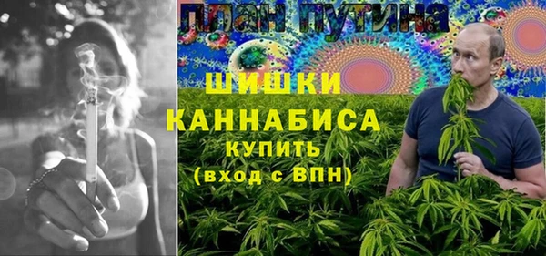 PSILOCYBIN Белоозёрский