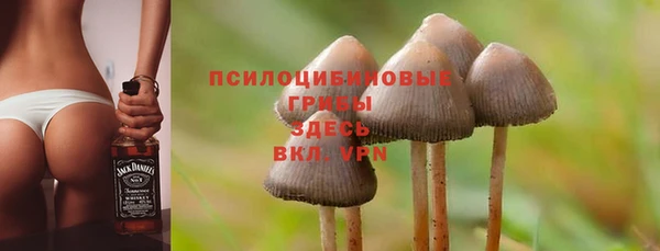крисы Алексеевка
