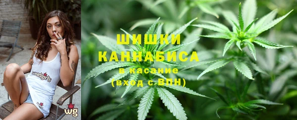 метадон Белокуриха