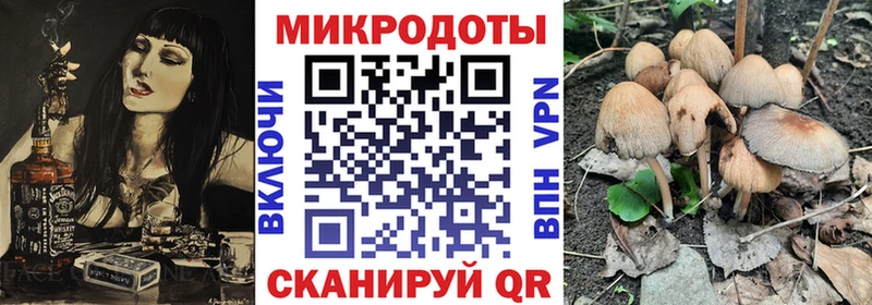 Псилоцибиновые грибы Psilocybe Верхняя Салда