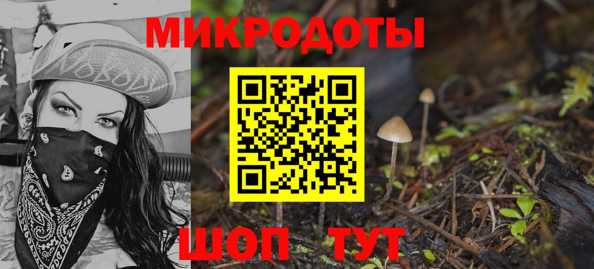 Верхняя Салда  где купить наркоту  Галлюциногенные грибы Psilocybe  Вход с VPN  Псилоцибиновые грибы мицелий 